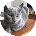 Yenthe Van Kooten profile picture